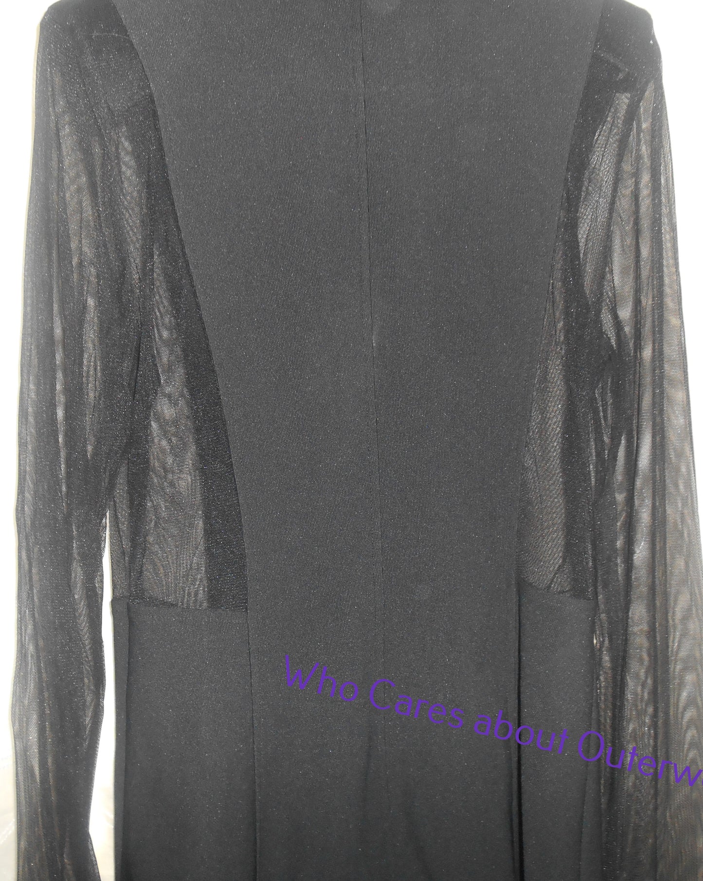 Women's Black Jacket with Sheer Sleeves