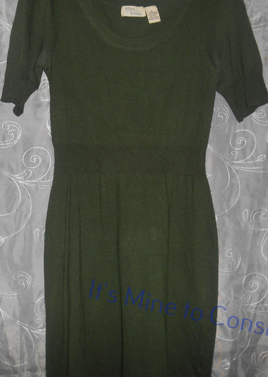 Allison Brittney Green Stretch Dress