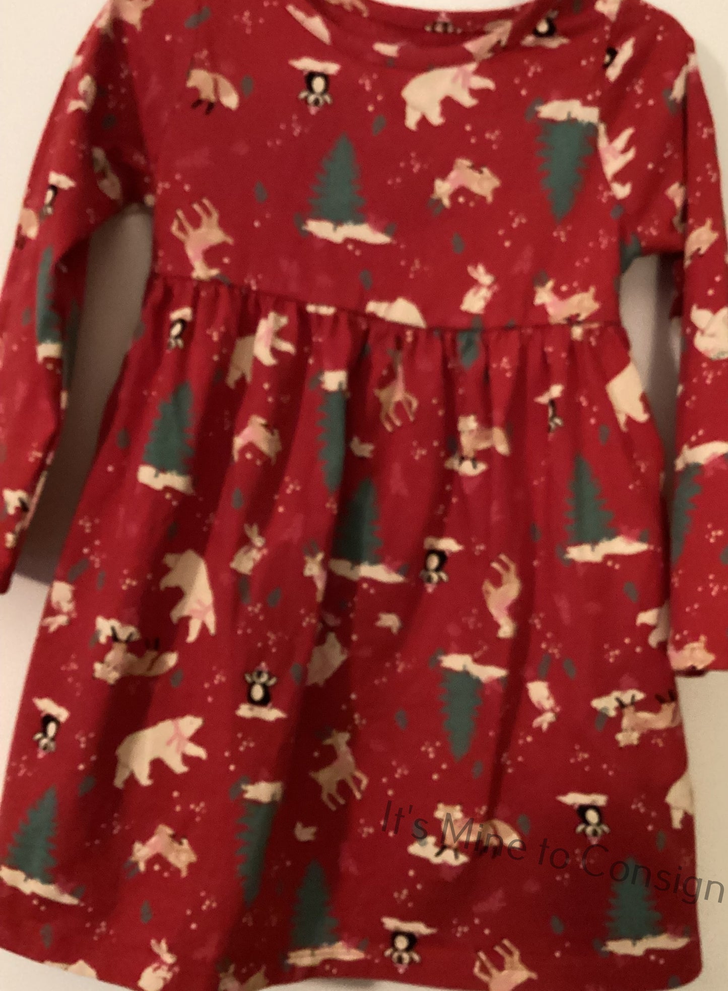 Wonder Nation Red Winter Dress